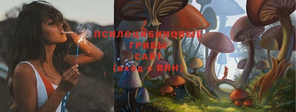 СК Снежинск