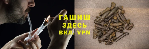 прущие грибы Снежногорск