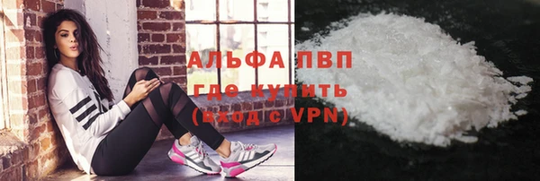 прущие грибы Снежногорск