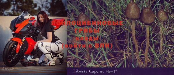 гашик Слюдянка