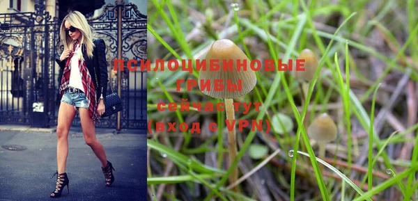 гашик Слюдянка