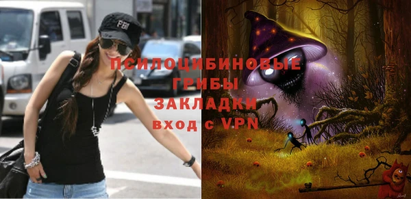 гашик Слюдянка