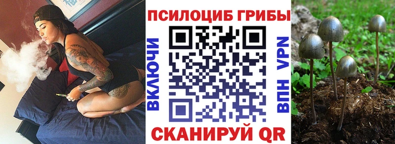 Купить  Холмск  Псилоцибиновые грибы ЛСД 